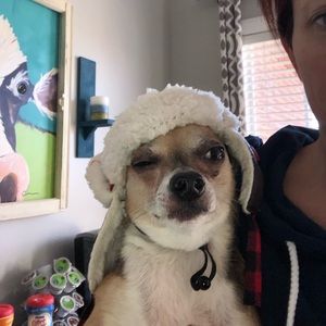 Meet your Posher, Rebecca